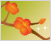 Ǯ